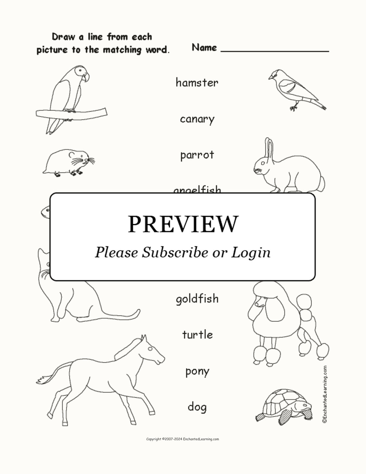 Match the Pet Words to the Pictures interactive worksheet page 1