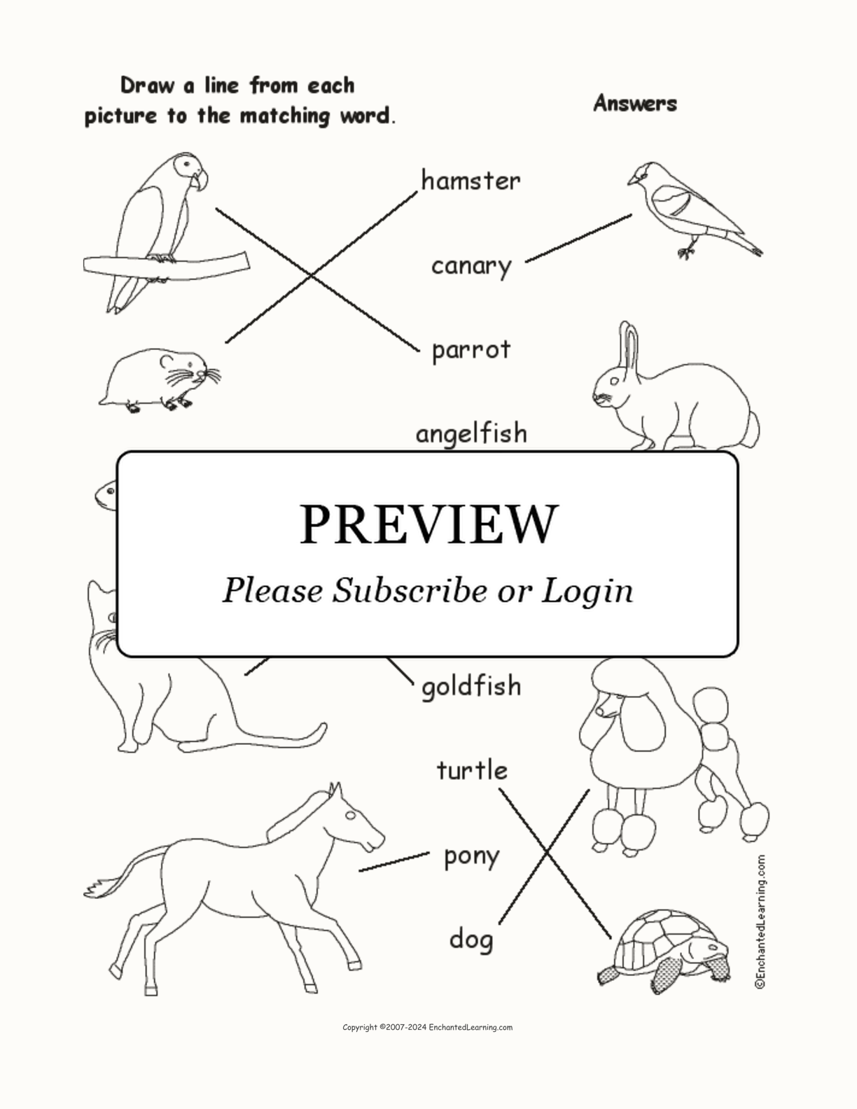 Match the Pet Words to the Pictures interactive worksheet page 2