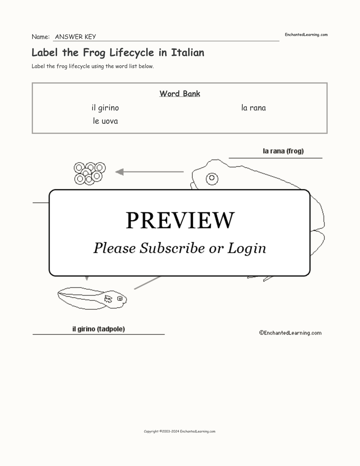 Label the Frog Lifecycle in Italian interactive worksheet page 2
