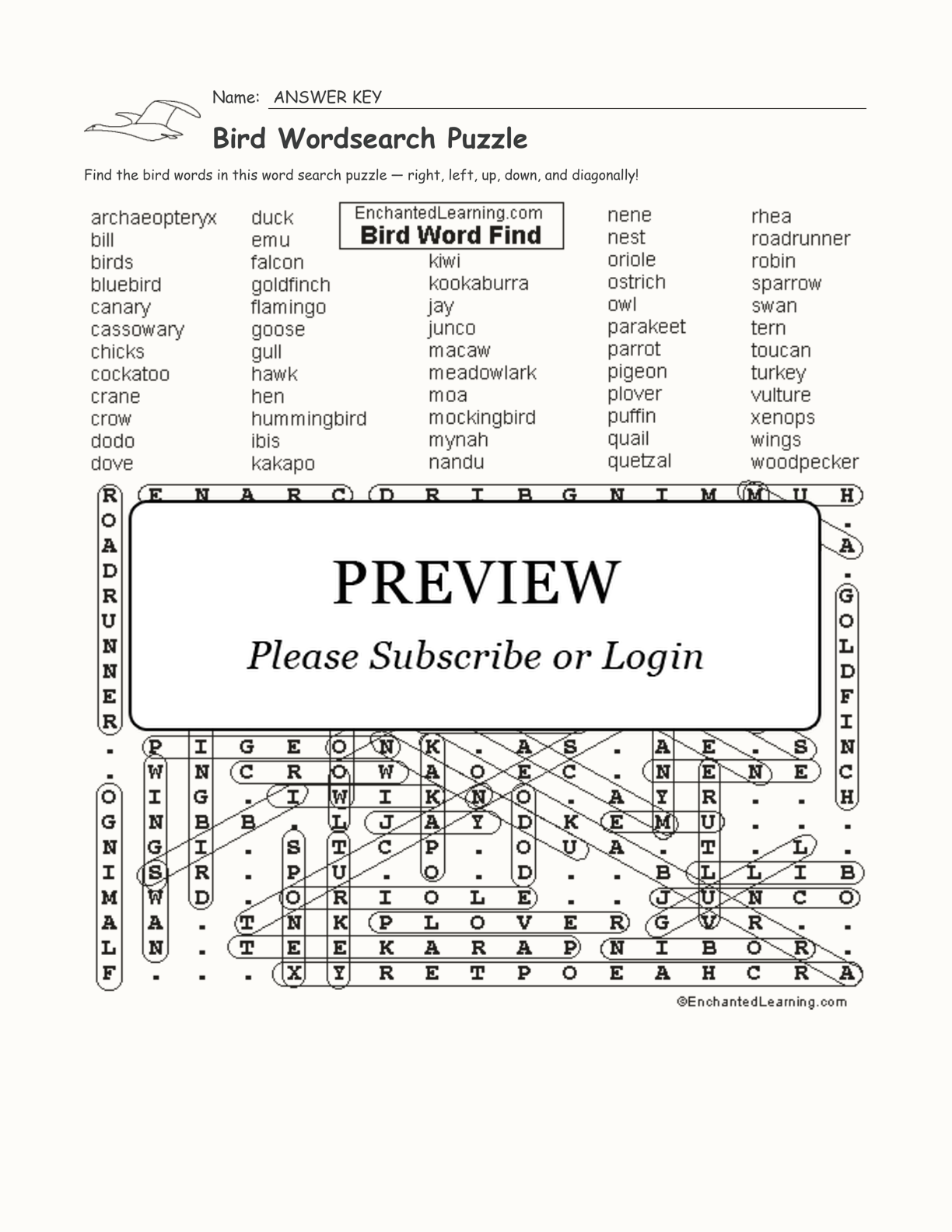 Bird Wordsearch Puzzle interactive worksheet page 2
