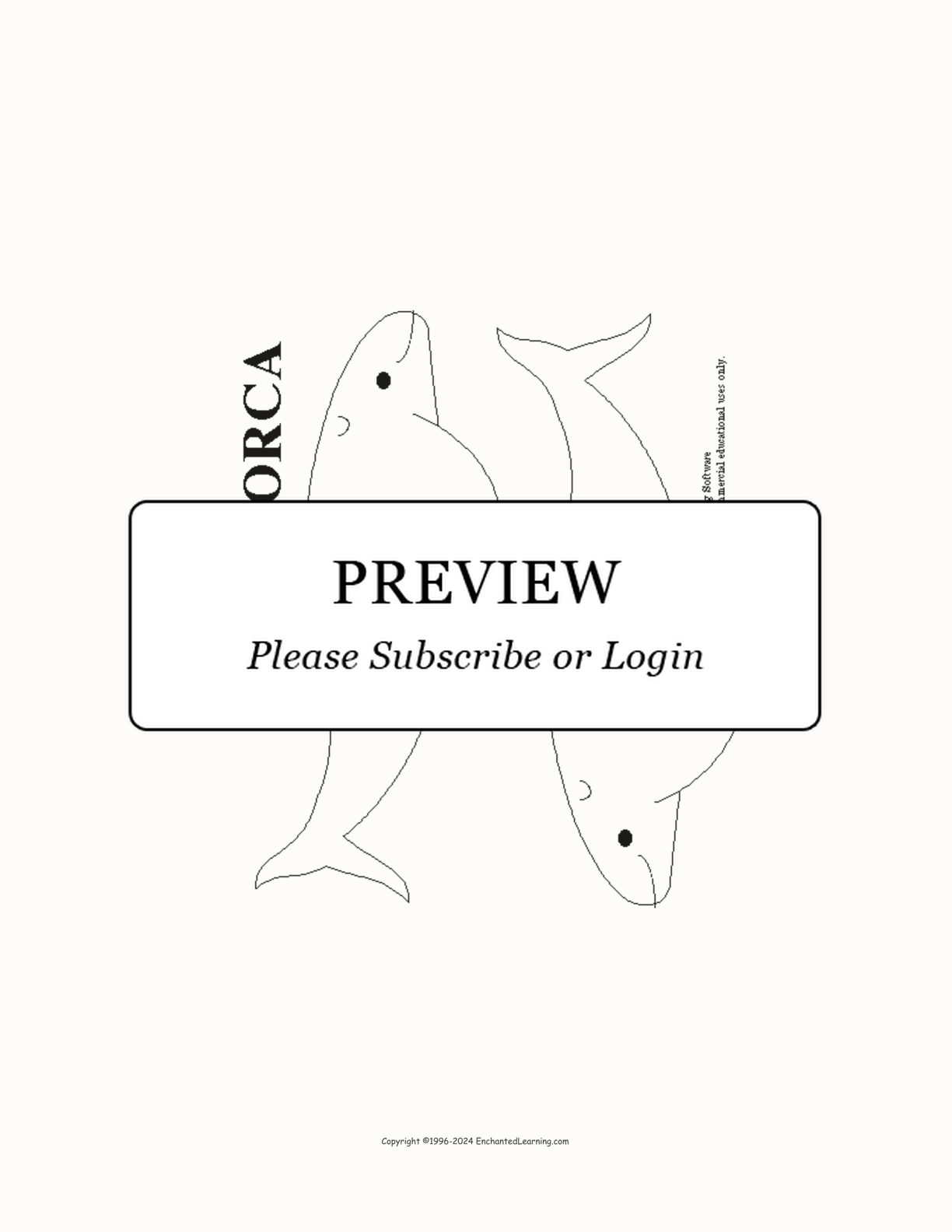 Orca or Killer Whale Template interactive printout page 1